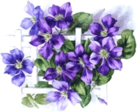 purpleflowers.gif